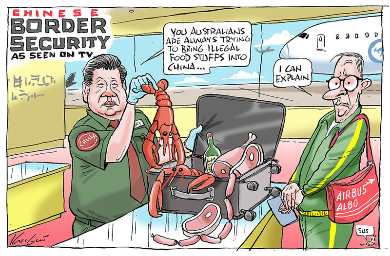 Albo in China | Australian Political Cartoon