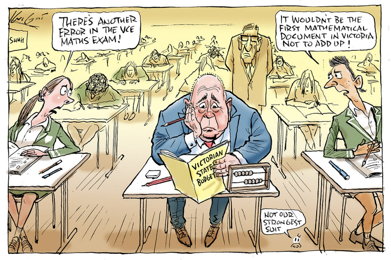 Another error in the VCE maths exam | Australian Political Cartoon