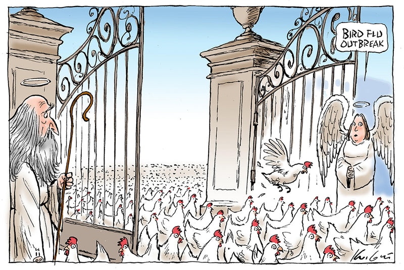 Bird Flu Outbreak | Major Event Cartoon