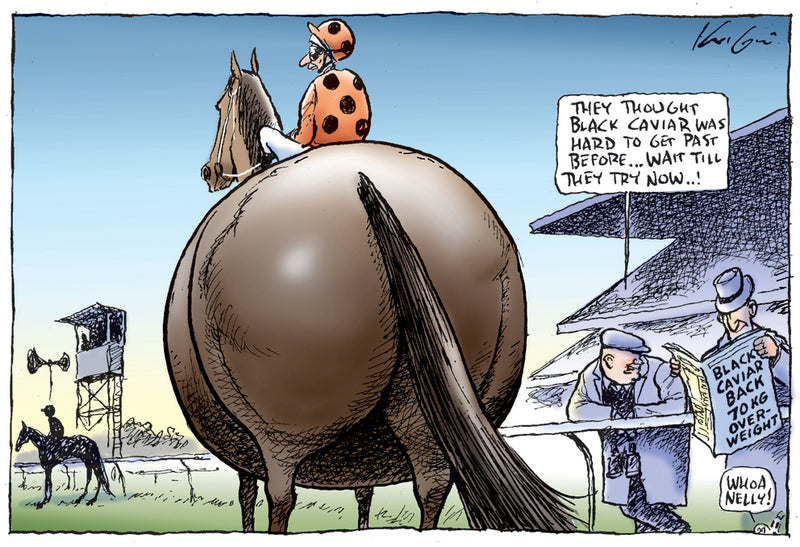 Black Caviar returns to racing | Sports Cartoon