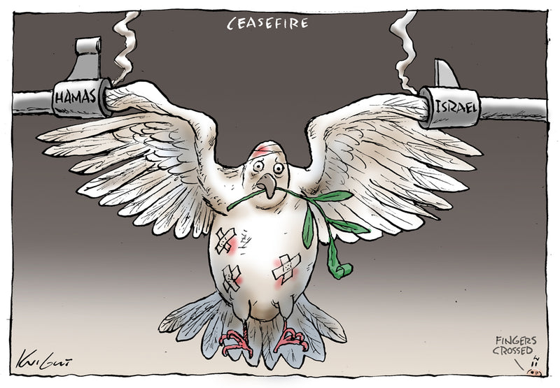 Ceasefire | International Political Cartoon