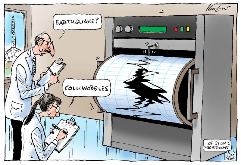Colliwobbles | Sports Cartoon
