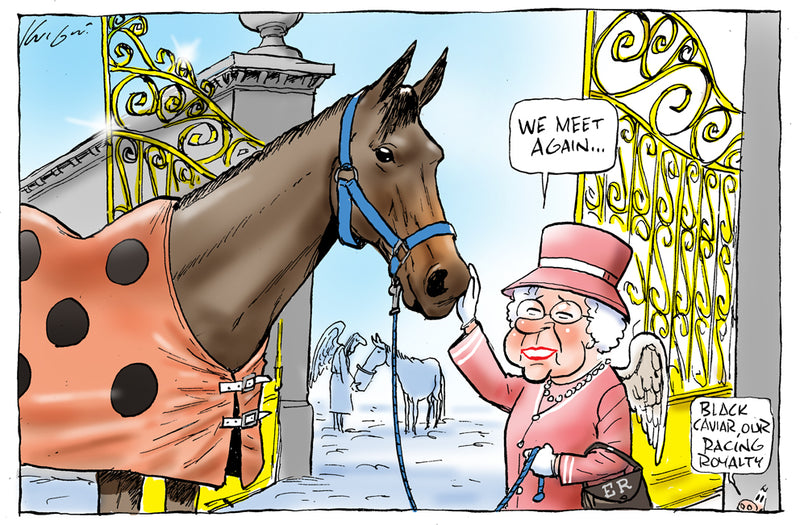 Farewell Black Caviar | Sports Cartoon