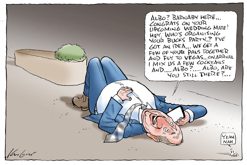 I've got an idea | Australian Political Cartoon