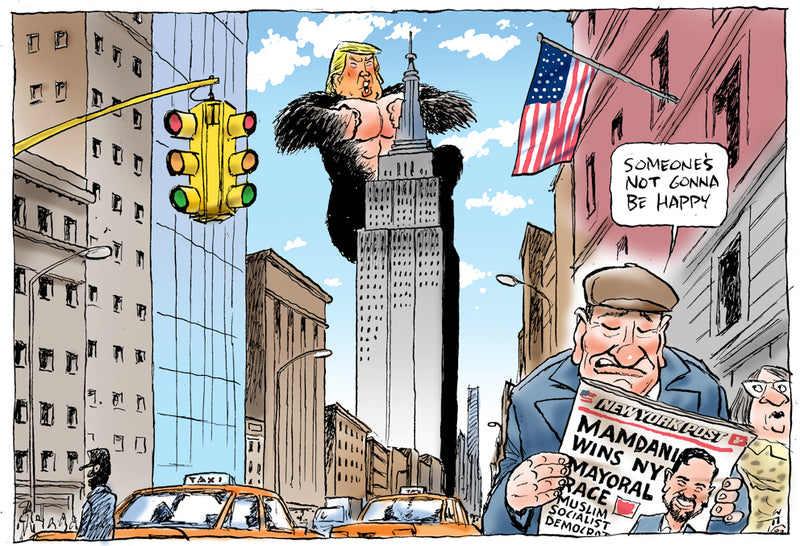 Mamdani wins the New York mayoral race | International Political Carto ...