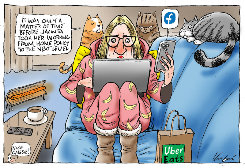 Next level working from home | Australian Political Cartoon