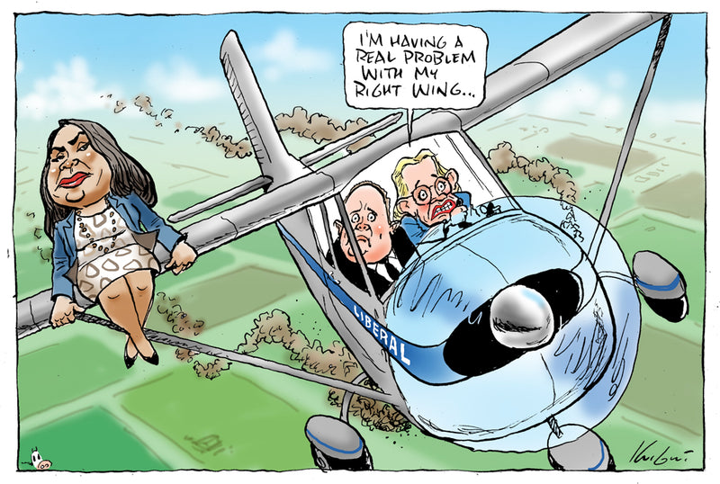 Problem with Sussan's right wing | Australian Political Cartoon