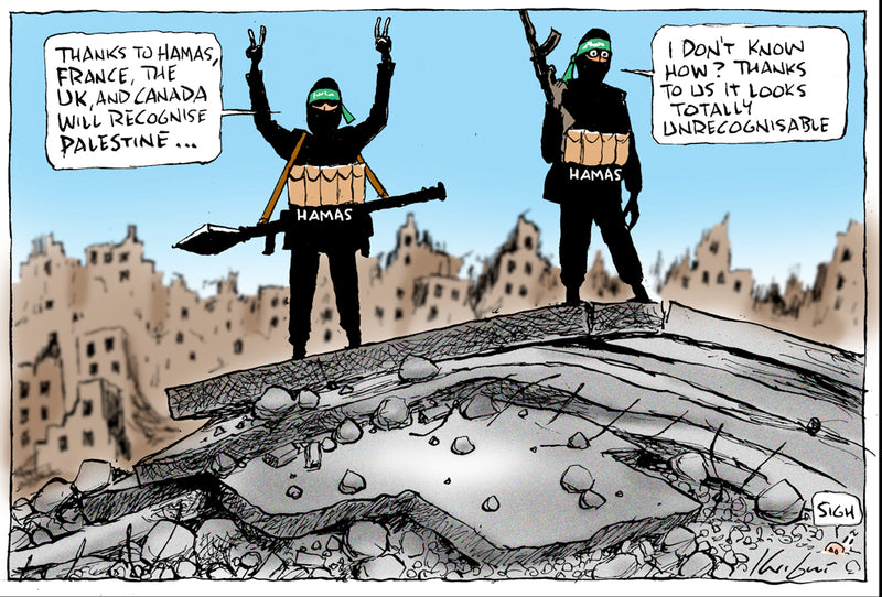 Recognising Palestine | International Political Cartoon