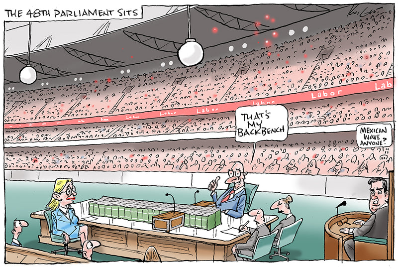 The 48th Parliament | Australian Political Cartoon