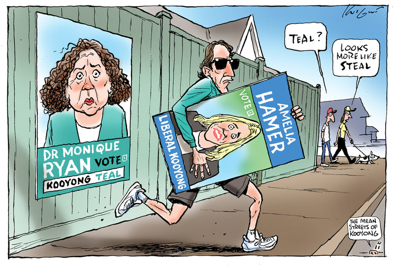 The Teal steal | Australian Political Cartoon