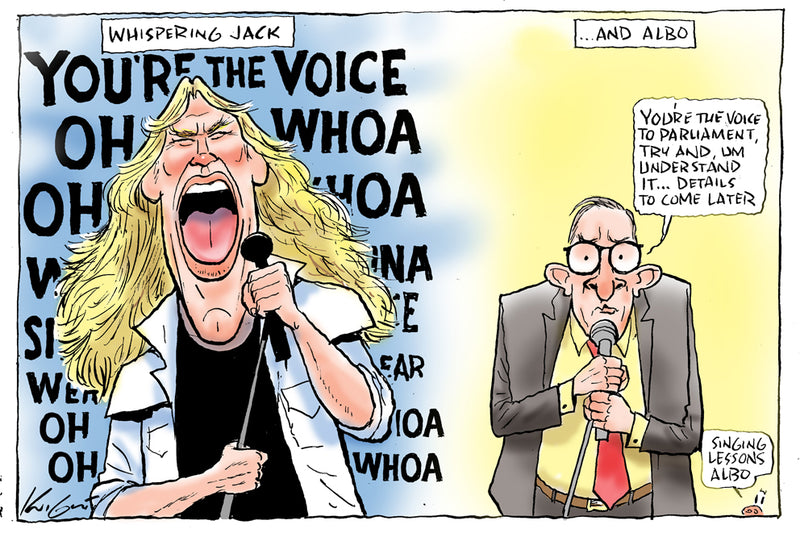 The Voice with Farnsy and Albo | Australian Political Cartoon