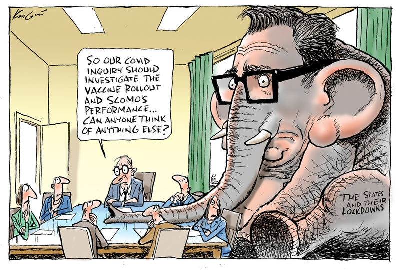 The elephant in the room | Australian Political Cartoon