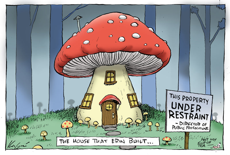 The house that Erin built | Major Event Cartoon