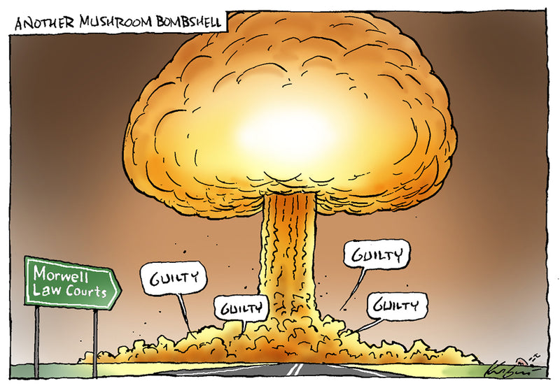 The Mushroom Bombshell | Major Event Cartoon
