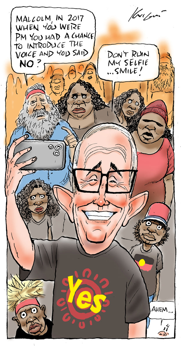 Turnbull says YES | Australian Political Cartoon