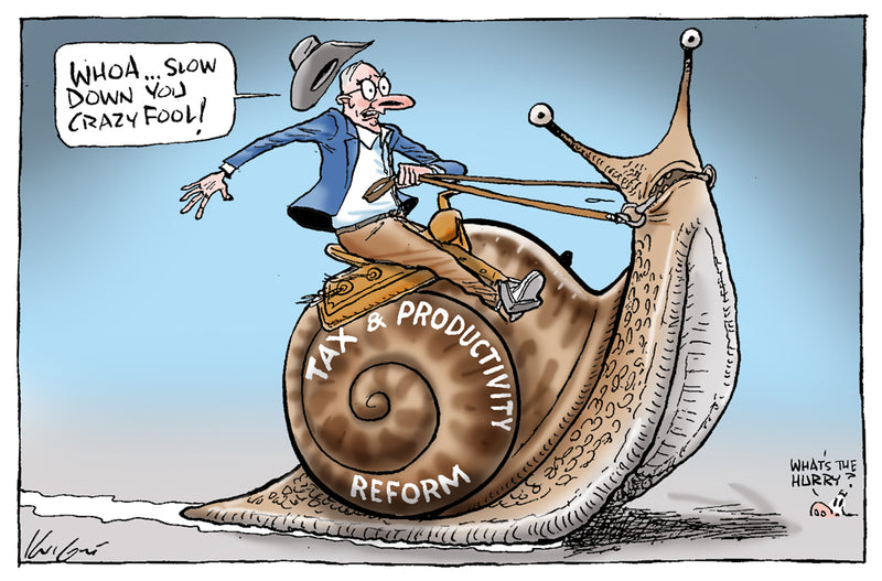 Whoa you fool! | Australian Political Cartoon