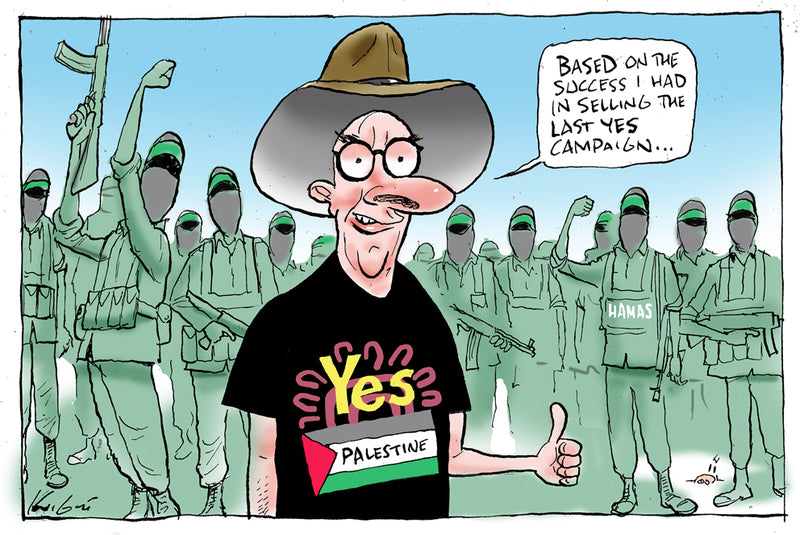 YES Palestine! | Australian Political Cartoon