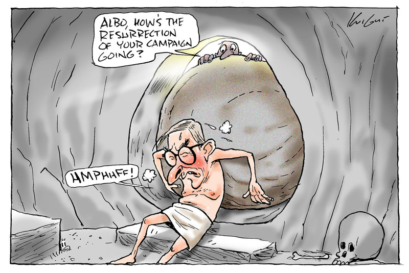 Albo's campaign resurrection | Australian Political Cartoon