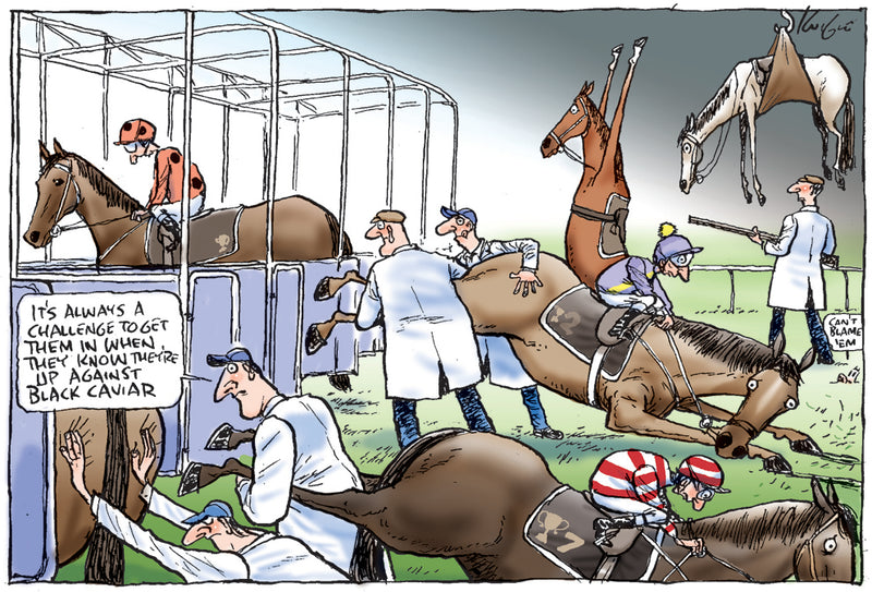 Black Caviar at the starting barriers | Sports Cartoon