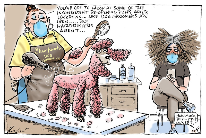Dog groomers to re-open | Covid 19 Cartoon