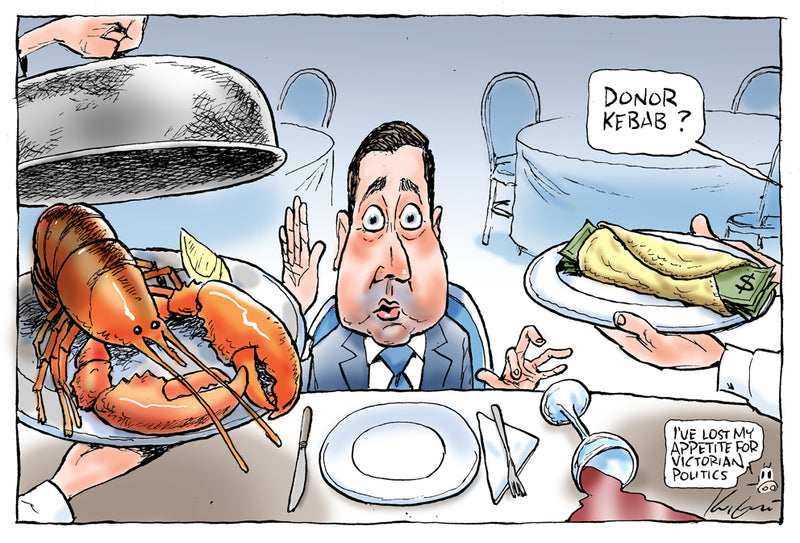Donor Kebab | Australian Political Cartoon
