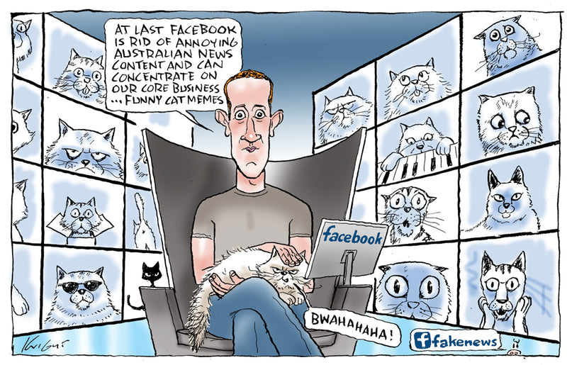 Facebook's Mark Zuckerberg and Cat Memes | Celebrity Cartoon