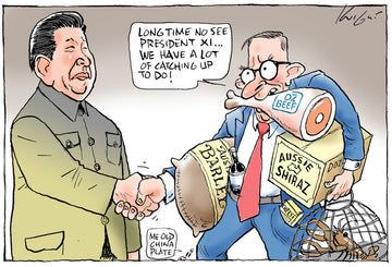 Albanese meeting with President Xi | Australian Political Cartoon ...