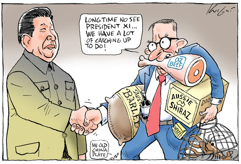 Albanese meeting with President Xi | Australian Political Cartoon