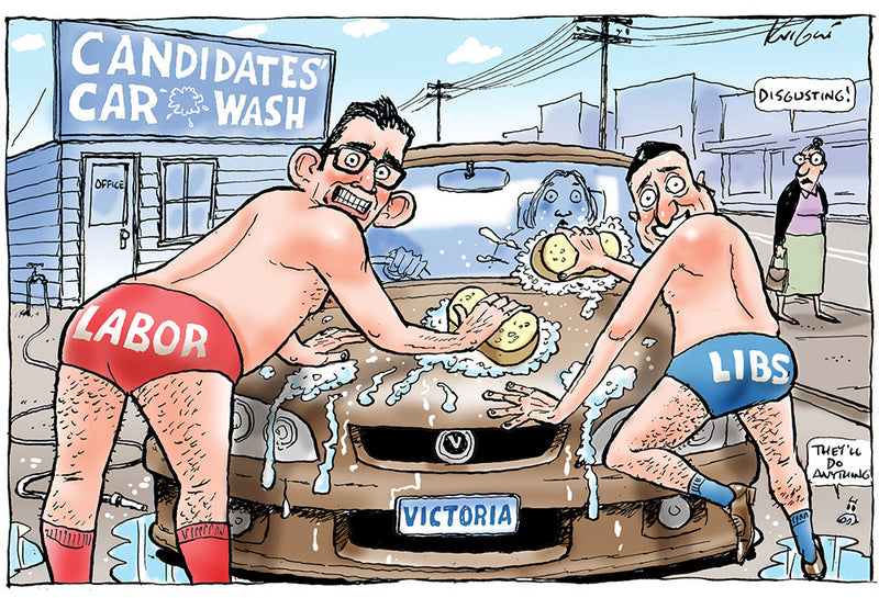 2018 Victorian State Election  | Australian Political Cartoon
