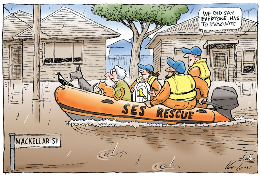 SES Rescue | Major Event Cartoon – Knight Cartoons