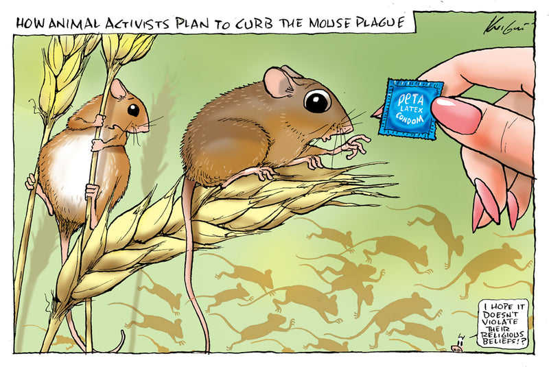 Mouse Plague 2021 | Major Event Cartoon