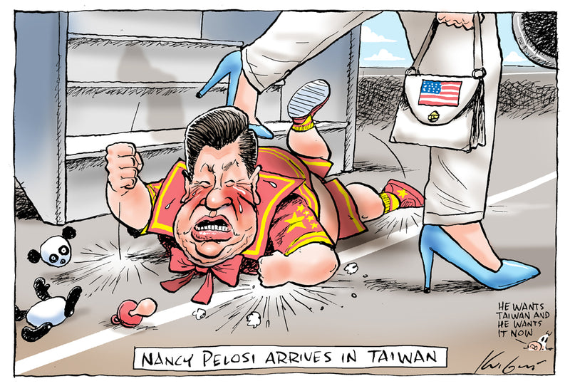 Nancy Pelosi in Taiwan | International Political Cartoon