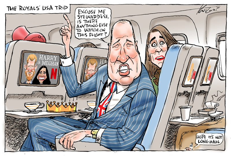 The Royal's USA Visit | International Political Cartoon