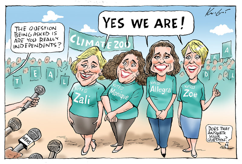 The teal independents | Australian Political Cartoon