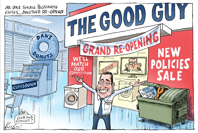 The New Victorian Liberal Leader Guy  | Australian Political Cartoon